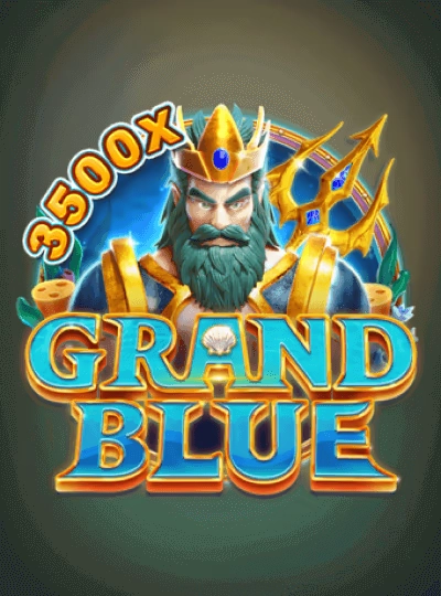 ho999