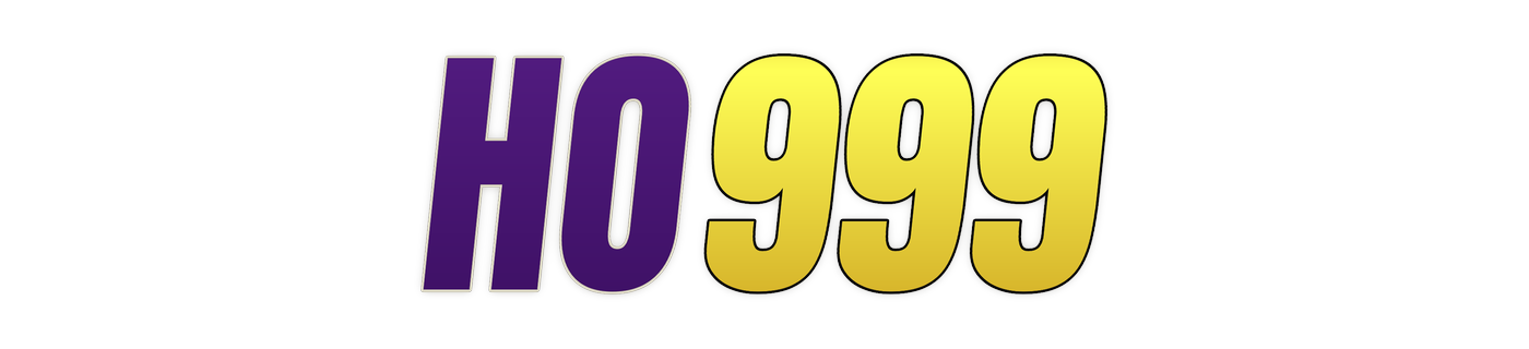 ho999